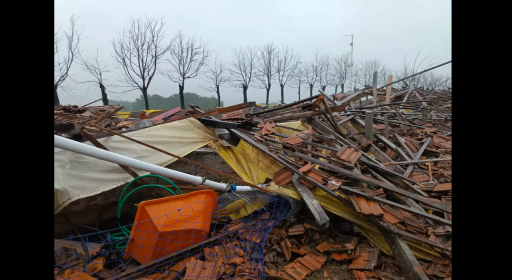 Ciclone provoca destruição em fazendas