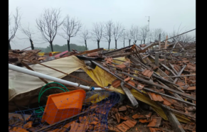 Ciclone provoca destruição em fazendas