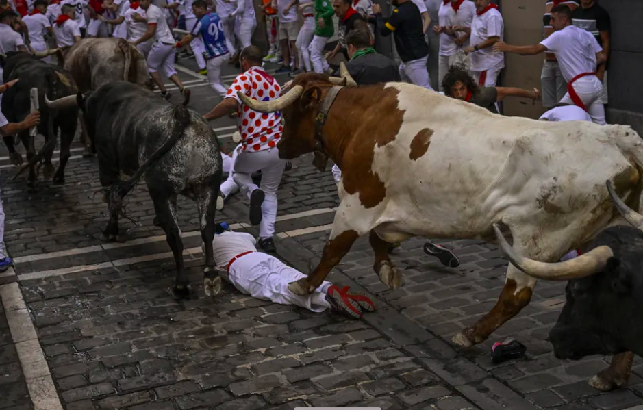 Corrida de touros na Espanha 🐂