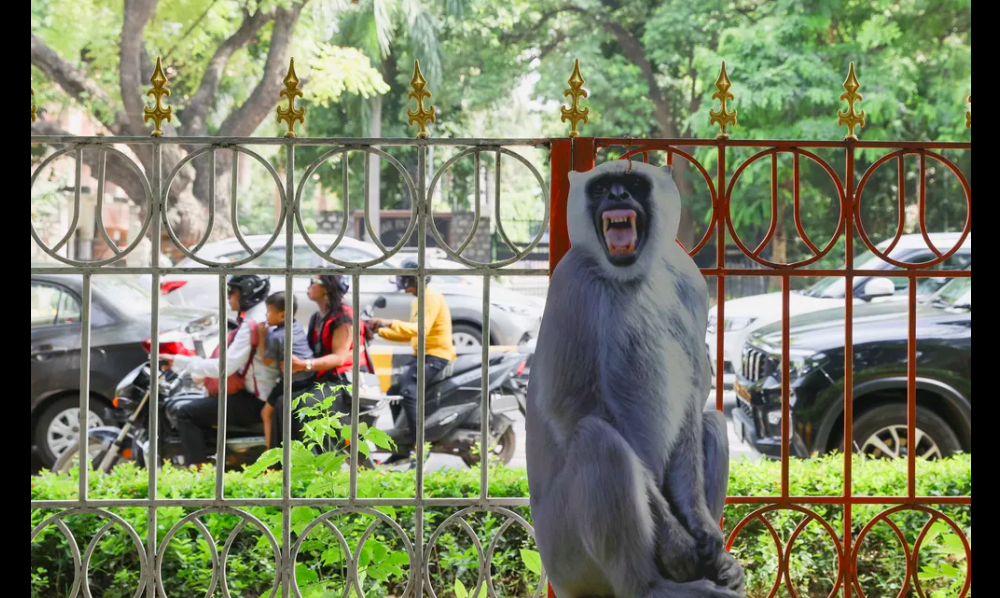 Índia Emprega 'Homens Macaco'