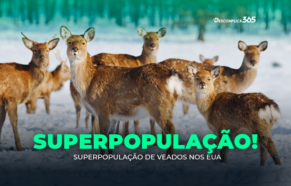 Superpopulação de Veados nos EUA