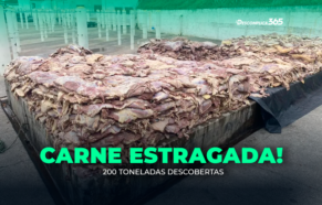 Carne estragada: 200 toneladas descobertas