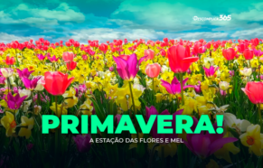 Primavera: A Estação das Flores e Mel