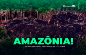 Escândalo Revela Desafios na Amazônia