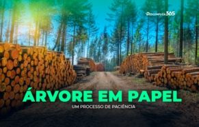 Árvore em Papel: Um Processo de Paciência