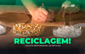 Reciclagem de Bitucas