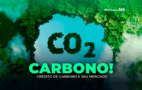 Crédito de Carbono e seu Mercado