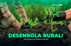 'Desenrola Rural': Programa de Renegociação