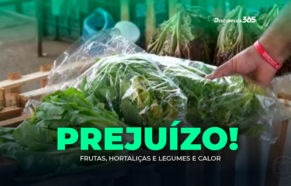 Frutas, Hortaliças e Legumes e Calor