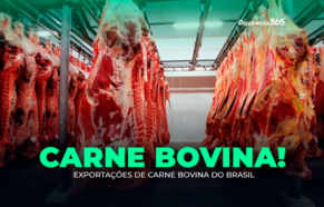 Exportações de Carne Bovina do Brasil