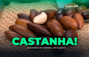 Castanha-do-Brasil: Um Aliado