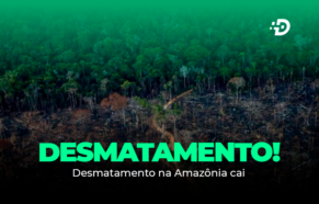 Desmatamento na Amazônia cai