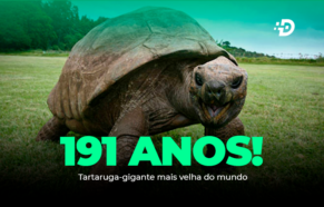 Tartaruga-gigante mais velha do mundo